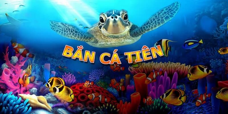 Bắn cá tiểu tiên cá HitClub: Sảnh game siêu hot cho bet thủ 5 Top các điểm mạnh của bắn cá tiểu tiên